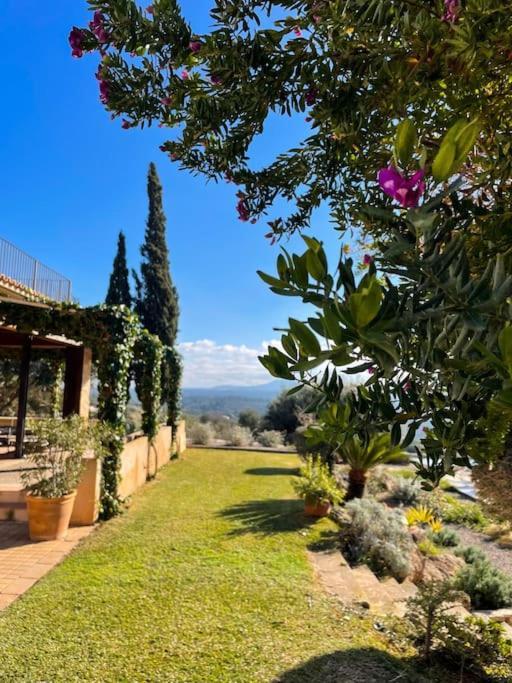 Finca Rural S'Estepa Palma de Mallorca Exterior photo